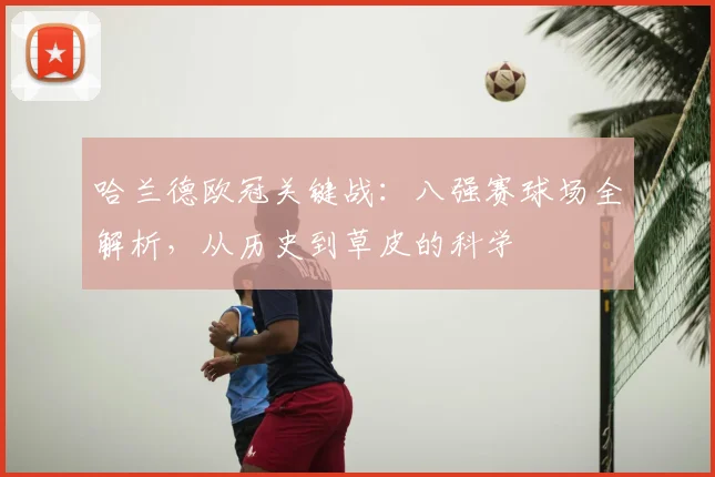哈兰德欧冠关键战:八强赛球场全解析,从历史到草皮的科学
